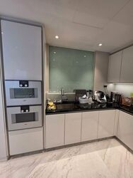 Wallich Residence  (D2), Condominium #576806321